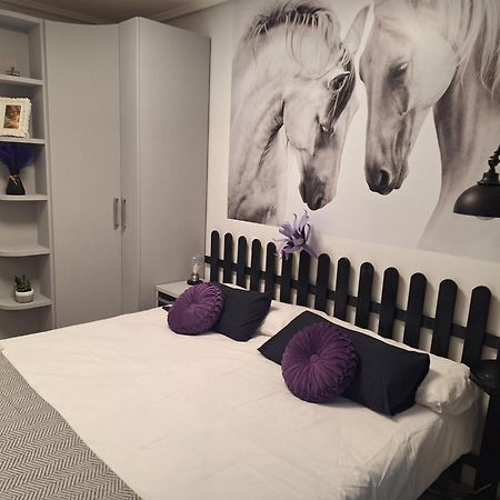 Intxaurti Etxea Daire Mallavia Dış mekan fotoğraf